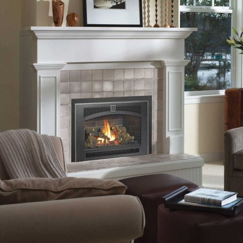 Fireplace Xtrordinair ProBuilder 36 Clean Face Gas Fireplace - Monroe ...